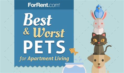 The BEST and WORST pets .